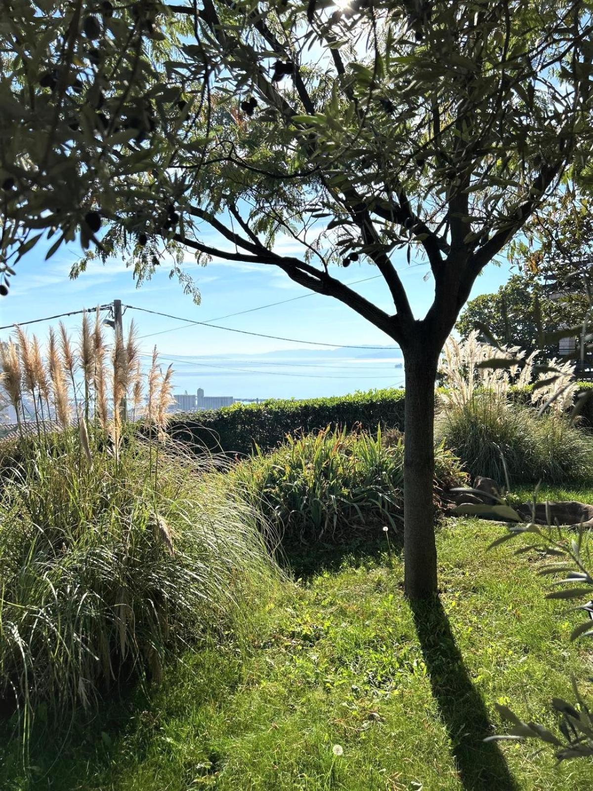 Apartment Mediterranean Garden Rijeka Exterior photo